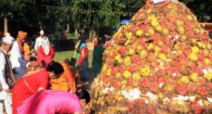 आज गोवर्द्धन पूजा, गोरु, किसान र हलोको पनि पूजा गरिँदै